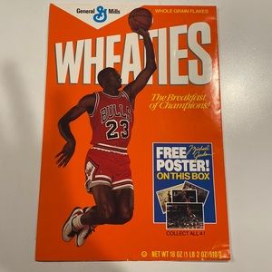 Michael Jordan vintage collectible poster